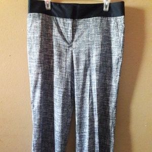 Ann Taylor - Petite Straight Leg Pant - NWT